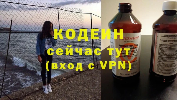 молекула духа Арсеньев