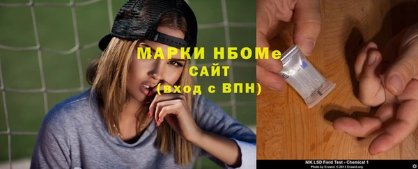 молекула духа Арсеньев