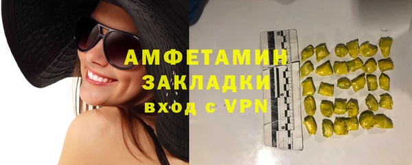 сатива Аркадак