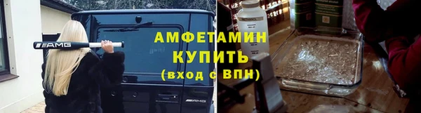 сатива Аркадак