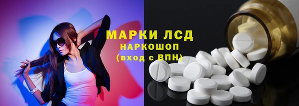 молекула духа Арсеньев