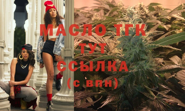 2c-b Надым