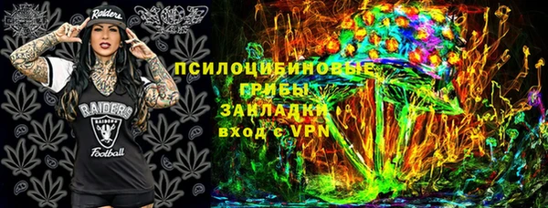 молекула духа Арсеньев