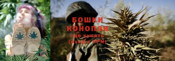 сатива Аркадак
