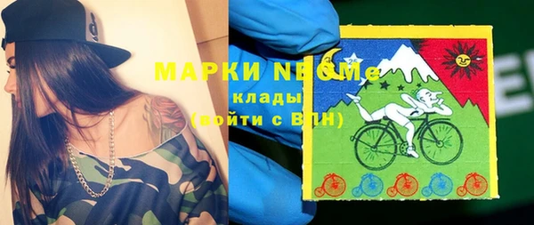 молекула духа Арсеньев