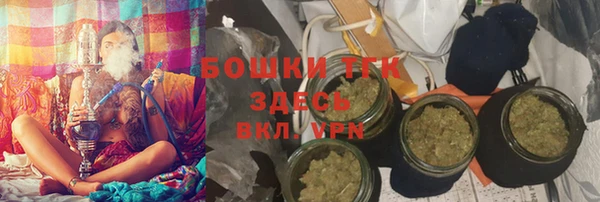 сатива Аркадак