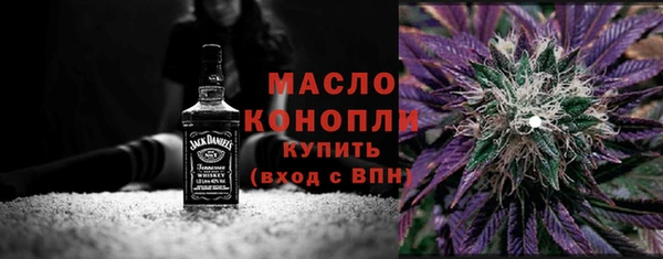 молекула духа Арсеньев
