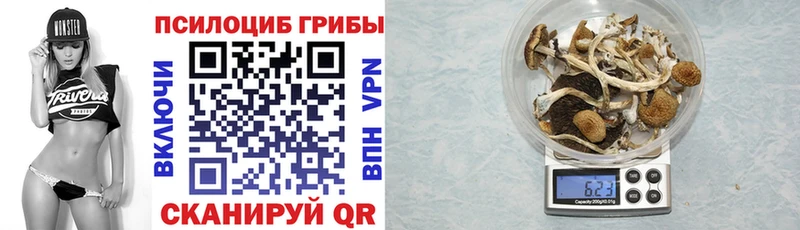 даркнет сайт  Сибай  Псилоцибиновые грибы ЛСД 